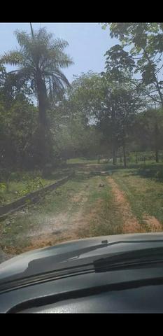 Chácara na beira do rio coxipo - Foto 6