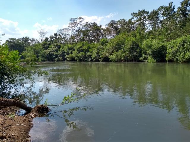 Vendo Sitio - Pesqueiro - Foto 11