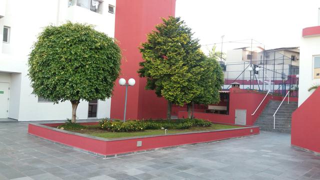 Apartamento Vila Matilde - Foto 17