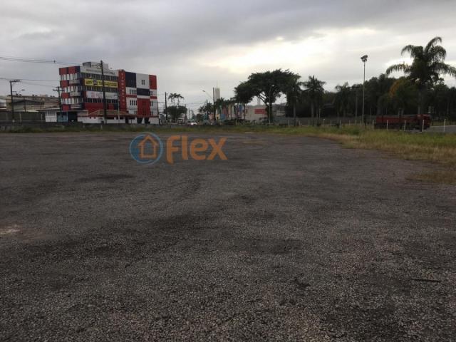 Terreno para alugar em São geraldo, Serra cod:FLEX-AREA0032 - Foto 7