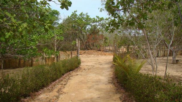 Oportunidade! Lindo sitio á 17 km de Teresina com dois Hectares. - Foto 6
