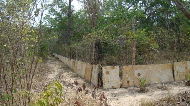 Oportunidade! Lindo sitio á 17 km de Teresina com dois Hectares. - Foto 5