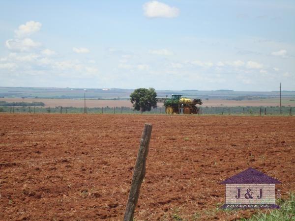 Fazenda município de Edealina - GO! Agende sua visita !!! - Foto 11