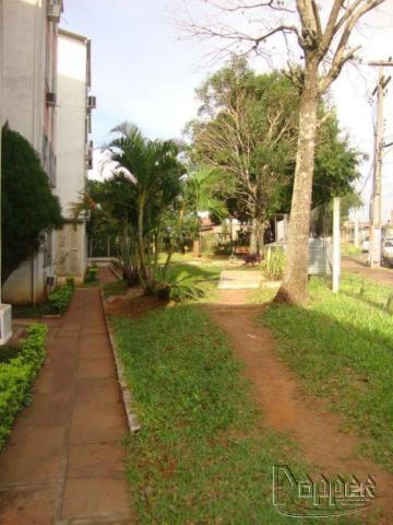 Apartamento à venda com 2 dormitórios em Rondônia, Novo hamburgo cod:17193 - Foto 10
