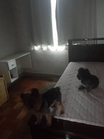 Alugo quarto para moça Floresta - Foto 7