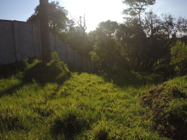 Chácara nà venda - barro preto - são josé dos pinhais/pr - Foto 6