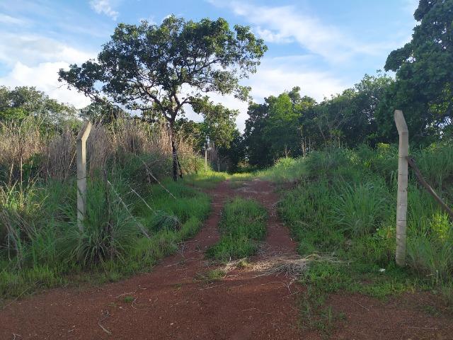 Chácara a Venda! - Foto 4