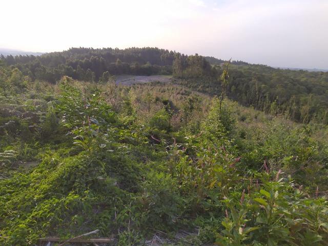 Terreno Rural - Foto 4