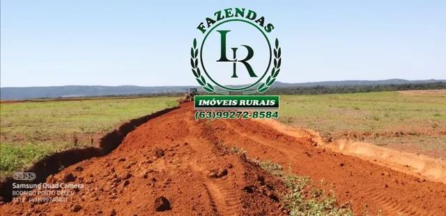 Fazenda 331 Alqueires Plantando - Foto 4