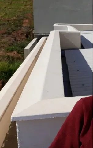 Chapéu de muro (pingadeira)423878816715909125