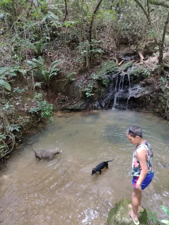 Chácara para alugar por diária ou temporada  - Foto 10