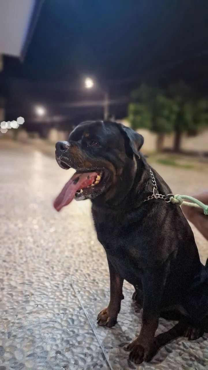 DISPONÍVEL PARA COBERTURA  - Foto 2