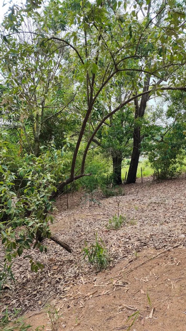 Vendo Terreno em Vila Merlo Cariacica 3.200m2 - Foto 3