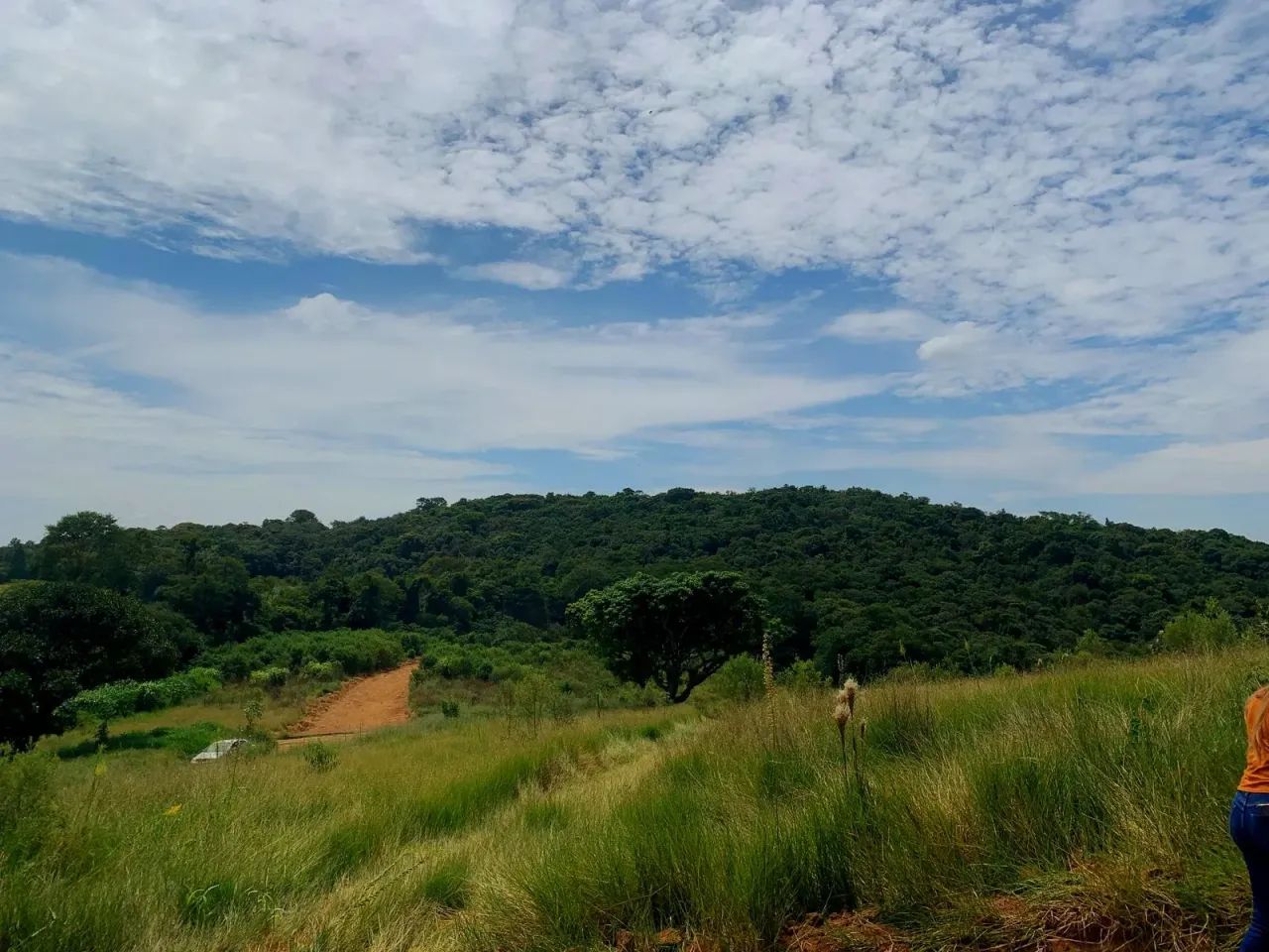 Natureza, segurança e lazer em um só lugar! - Foto 4