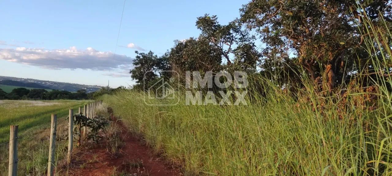 Chácara escriturada DF 140 - 2 ha - Mansões Fazendarias - TORORO - Foto 8