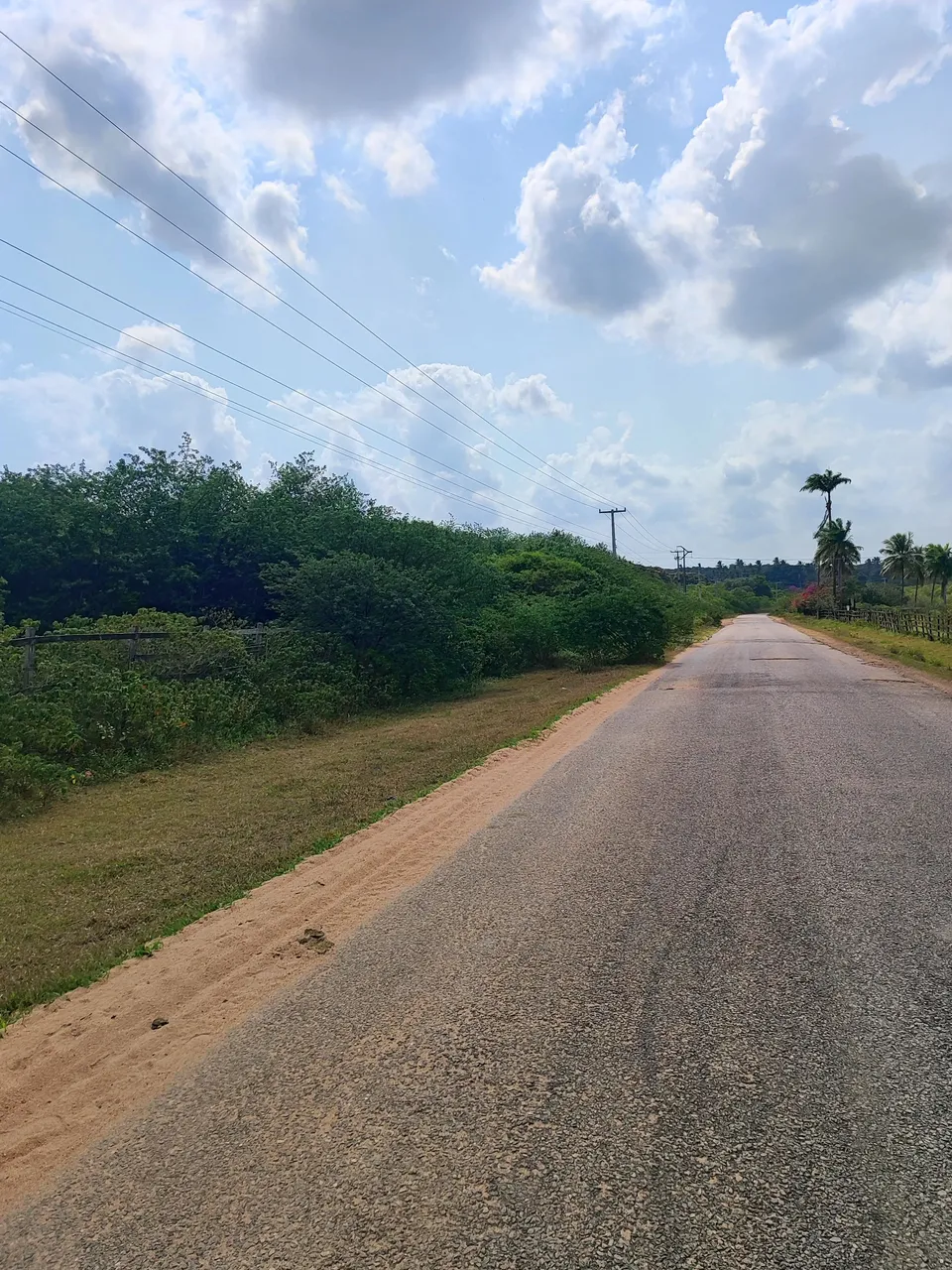 fazenda com 186,17 hectares na região de Ceará Mirim bem localizada