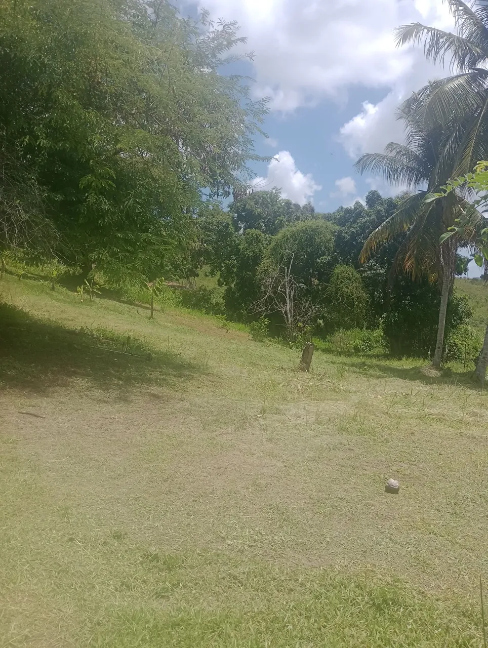Vendo terreno medindo 20 largura por 80 comprimento