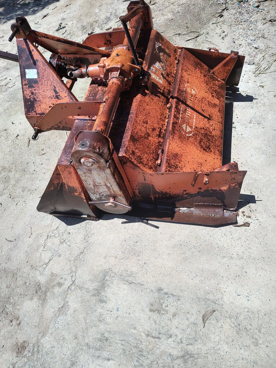 Encanteradeira Minami