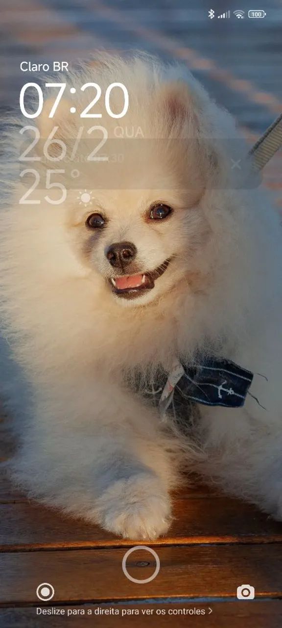 Procuro namorada  - Foto 3