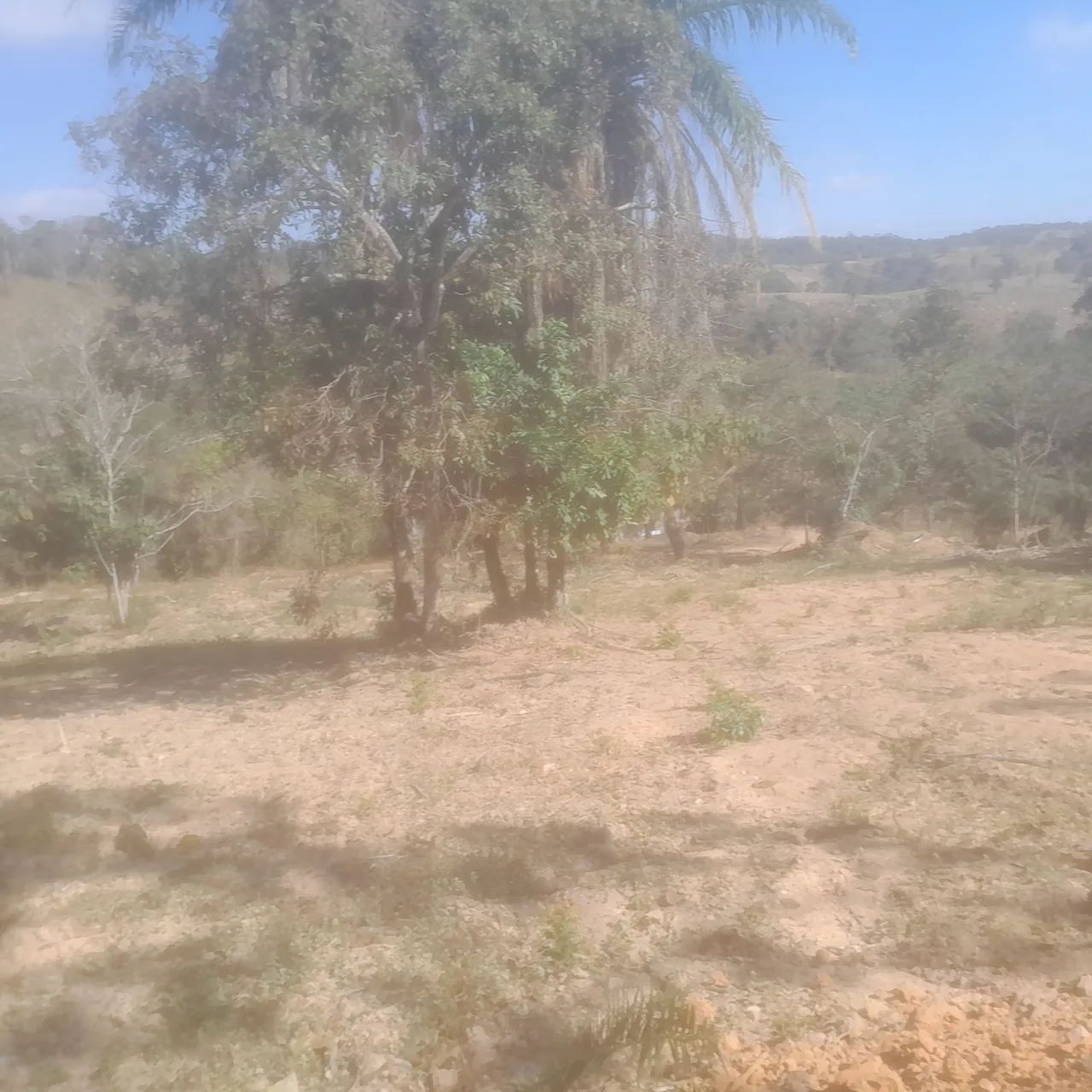 Chacara rural no sítio novo 