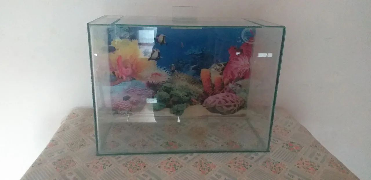 Aquário 20 litros 
