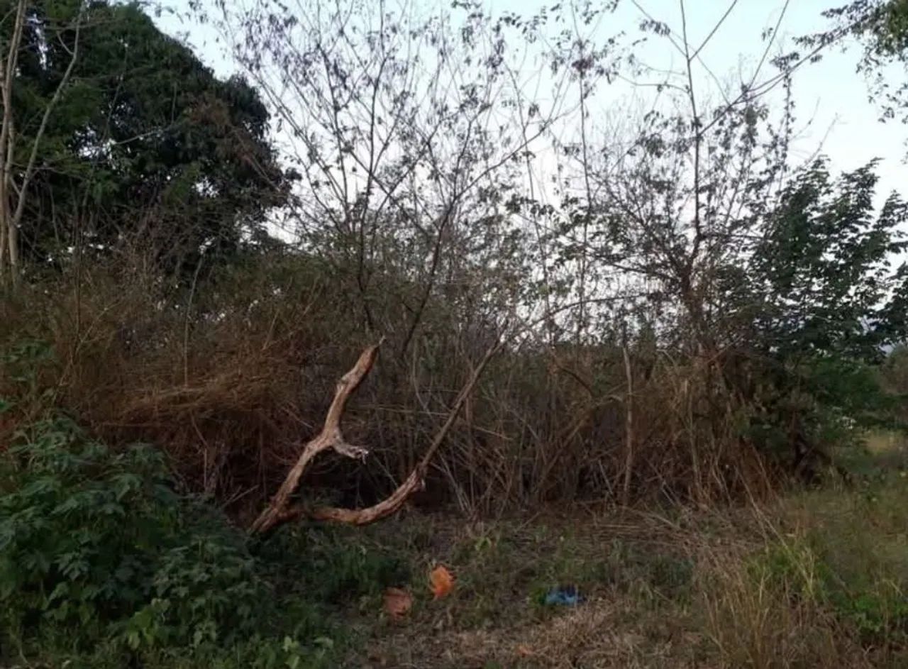 Terreno no Km 37 - Foto 2