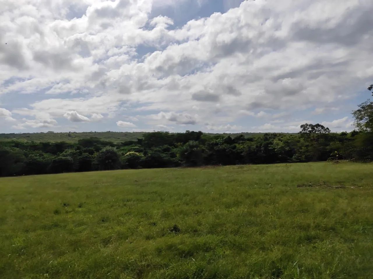 Fazenda 210 alqueires em Crixás no Tocantins 20 milhões. - Foto 4