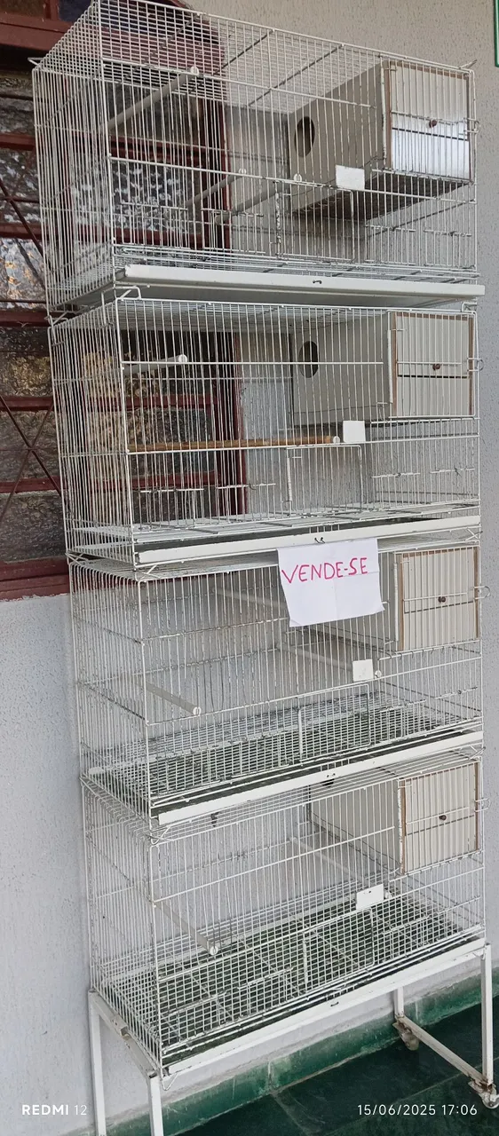 Gaiolas para Pássaros - Várias Unidades