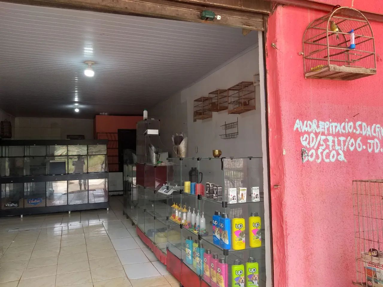 Casa de ração pet shop - Foto 3