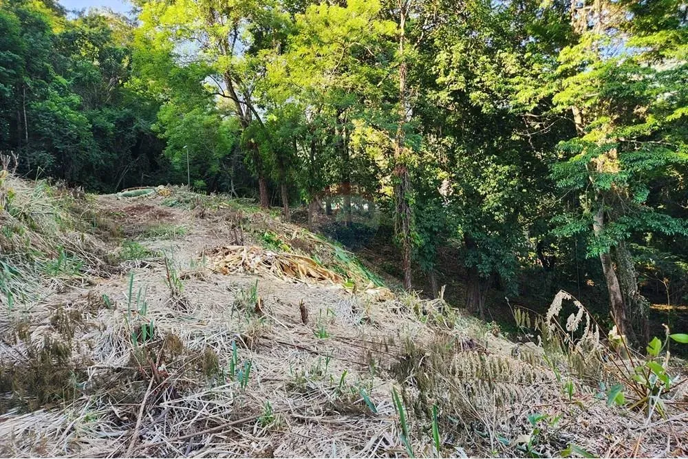 Terreno em condomínio fechado à venda no condominio Reserva do Itanhangá, Rio de Janeiro