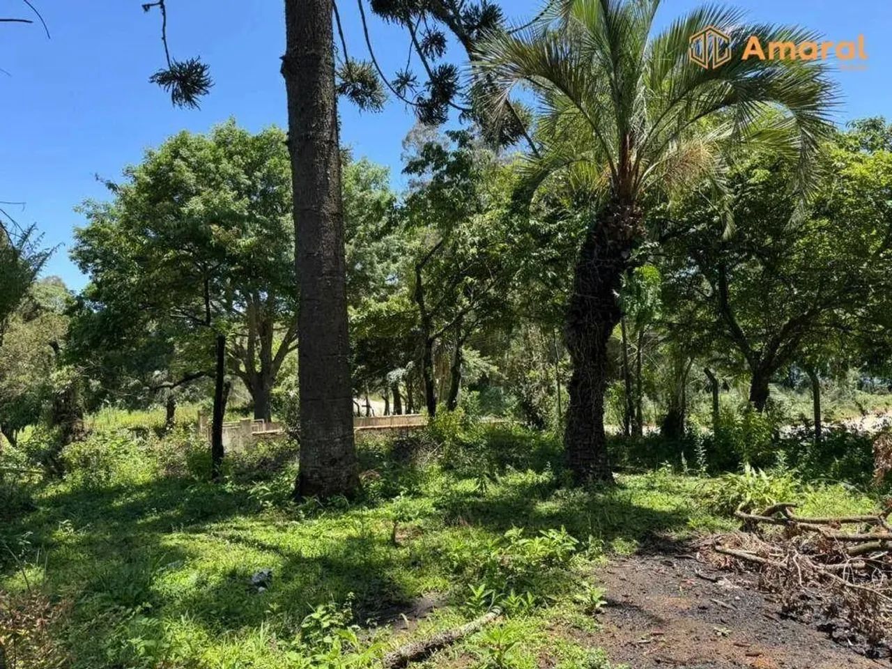 OPORTUNIDADE-100% PLANA - ASFALTADA - Foto 8