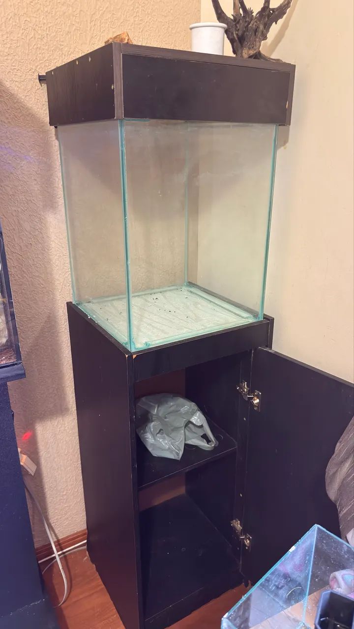 Aquario vivo 80 litros  - Foto 3
