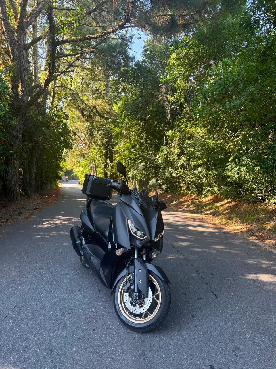 X Max 2021 - Foto 2