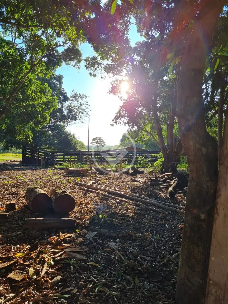 sitio com otima oportunidade de produtividade e lucratividade . codigo: 74117 - Foto 2
