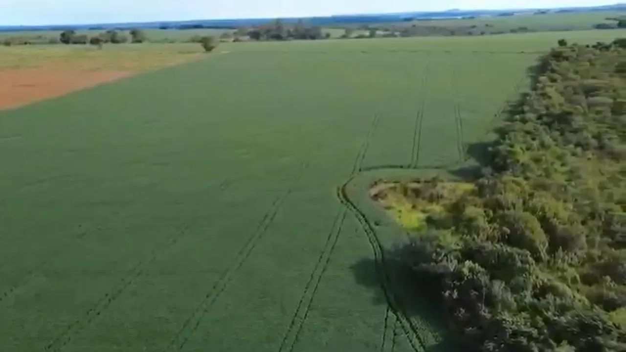 Fazenda a venda, em Patrocínio - Minas Gerais! - Foto 4