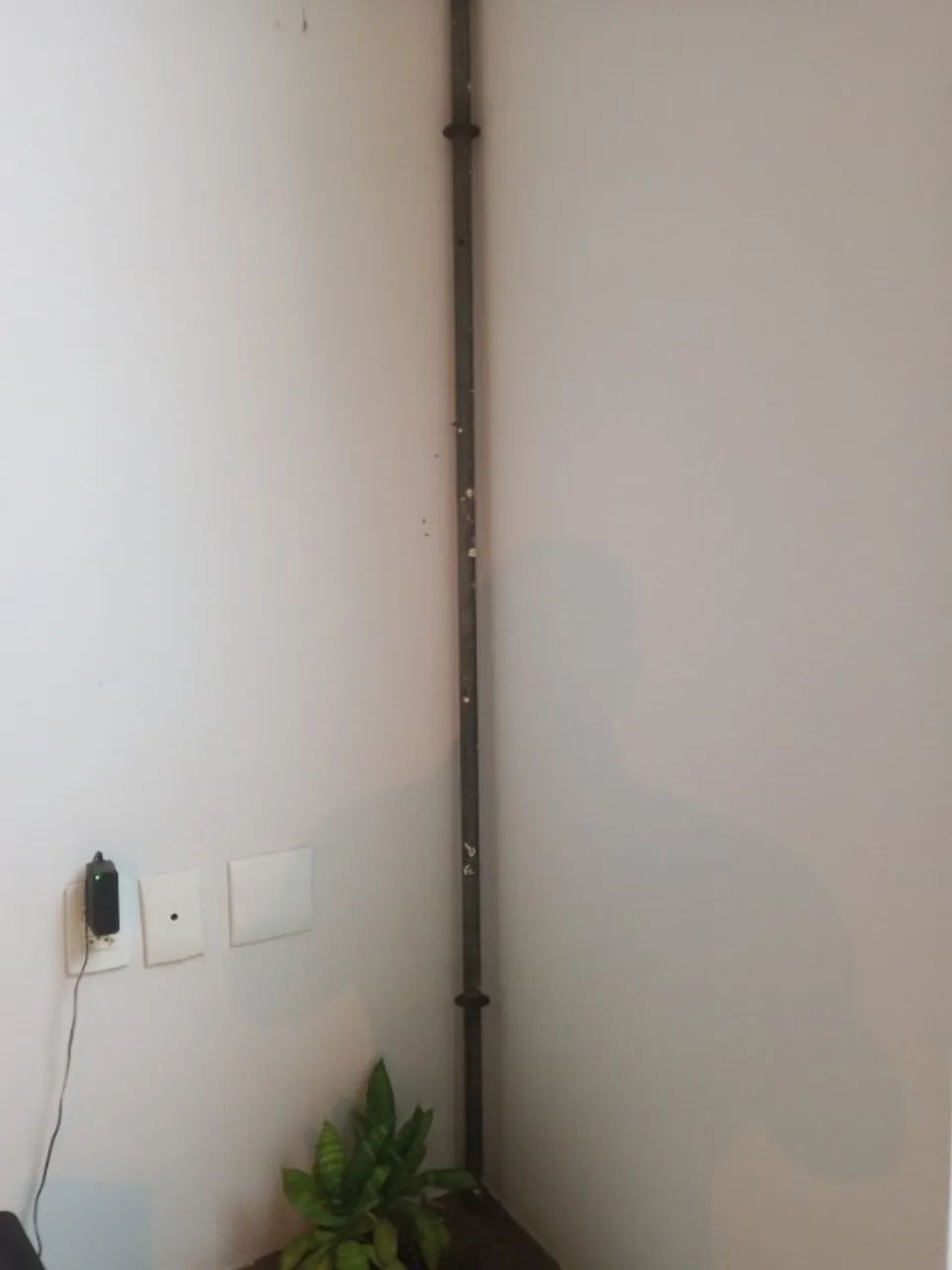 Anilhas  - Foto 2