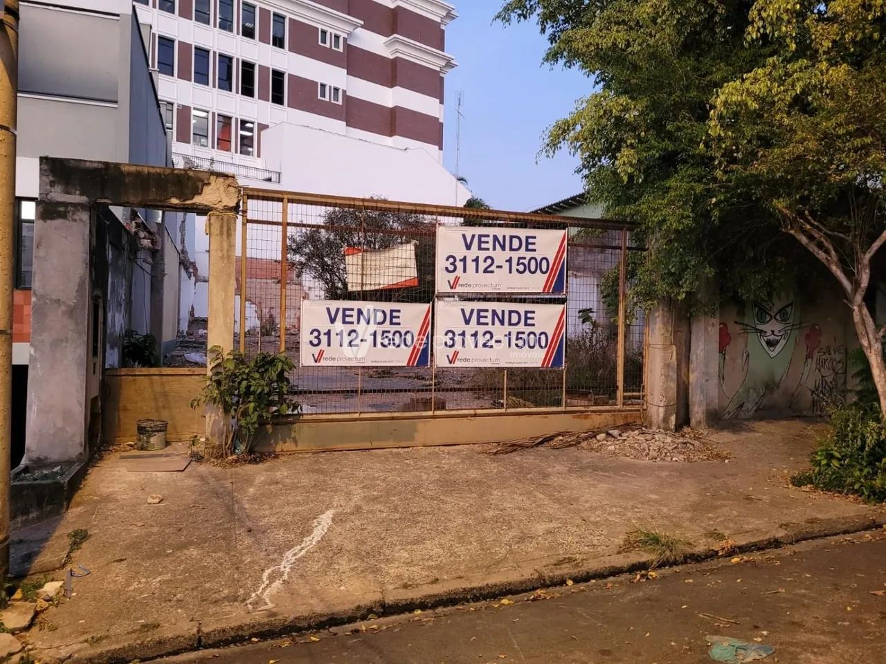 terreno - Cambuí - Campinas