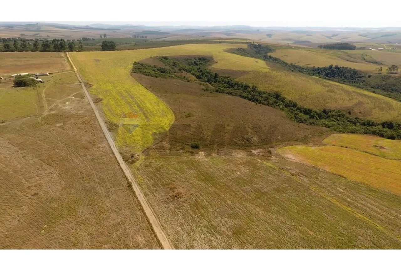 FAZENDA NA SERRA DA CANASTRA - Foto 2