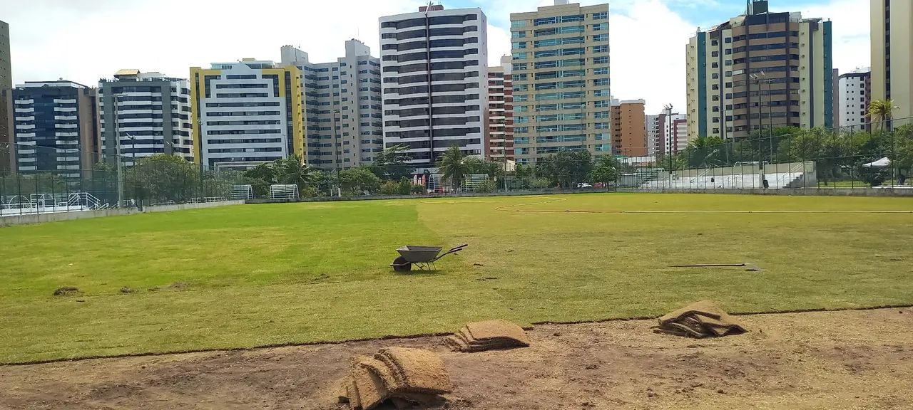 Grama esmeralda  - Foto 5