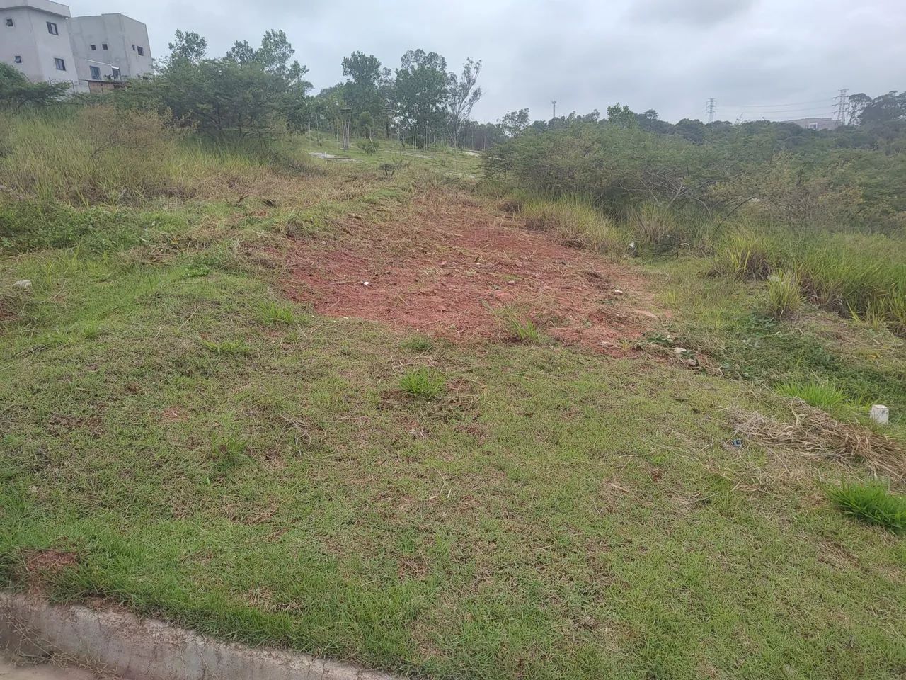 Foto - Barueri - Parque Viana