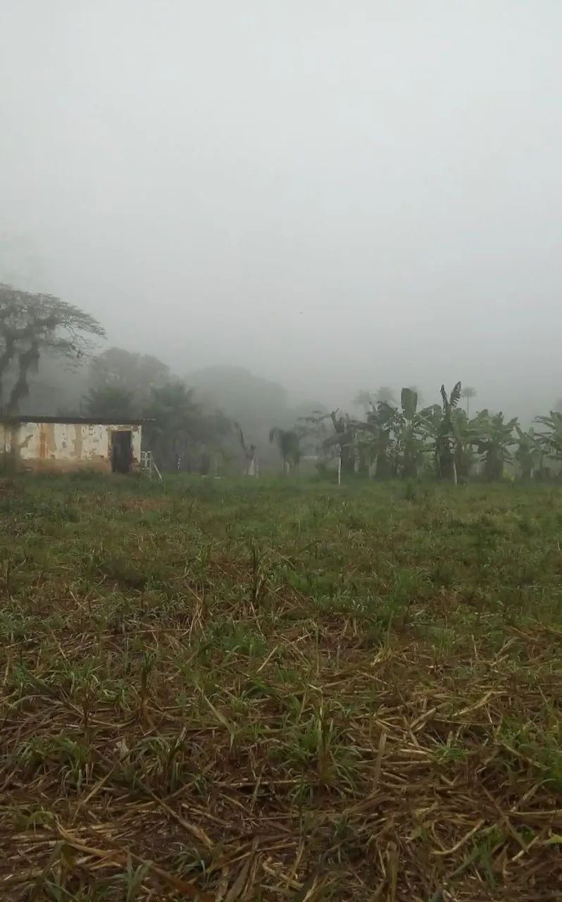 Procuro casa de caseiro  - Foto 4