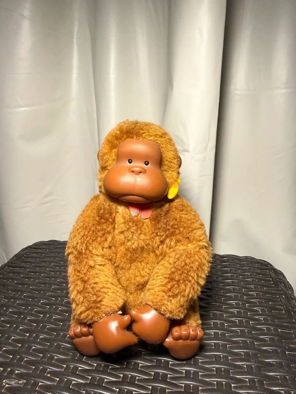 Macaco Murphy/Murfy Júnior 