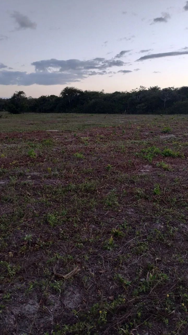 Terrenos na zona rural de Beberibe  - Foto 3