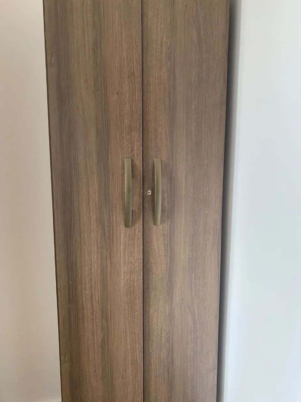 Vendo esse armário multiuso 