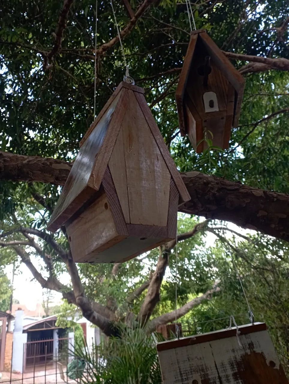 casa/ninho para curuira - Foto 4