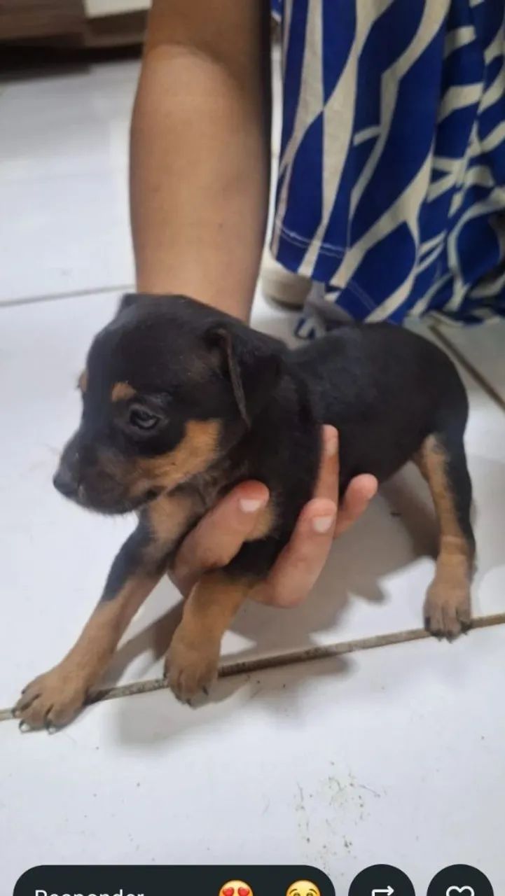 Anúncio 