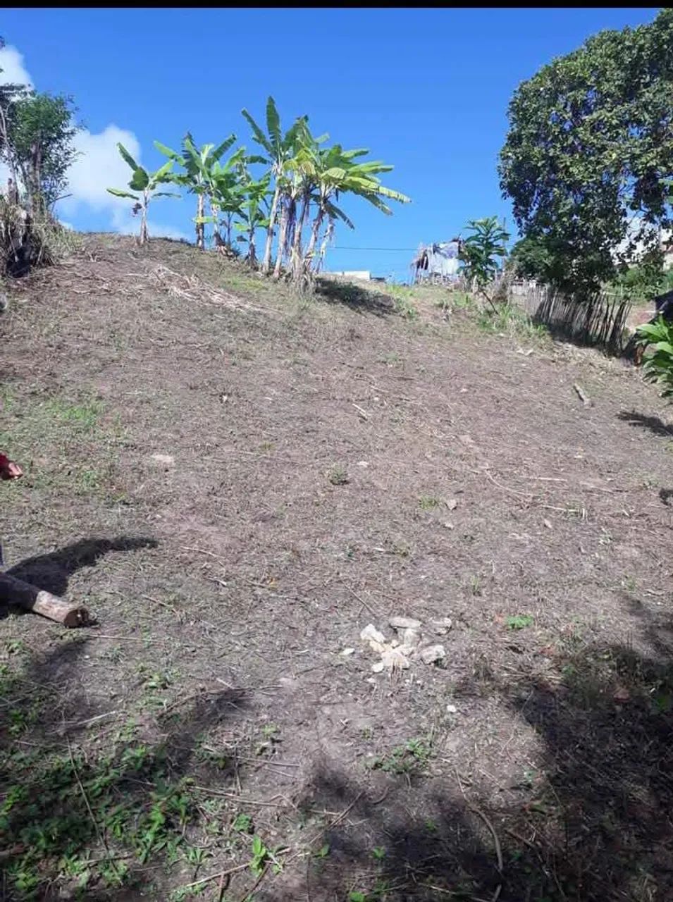 Terreno na cidade nova 