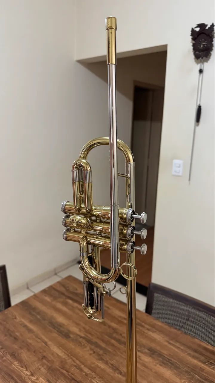 CLARIM TRIUNFAL Capri GETZEN ELKHORN WI USA 53121 - Instrumentos ...