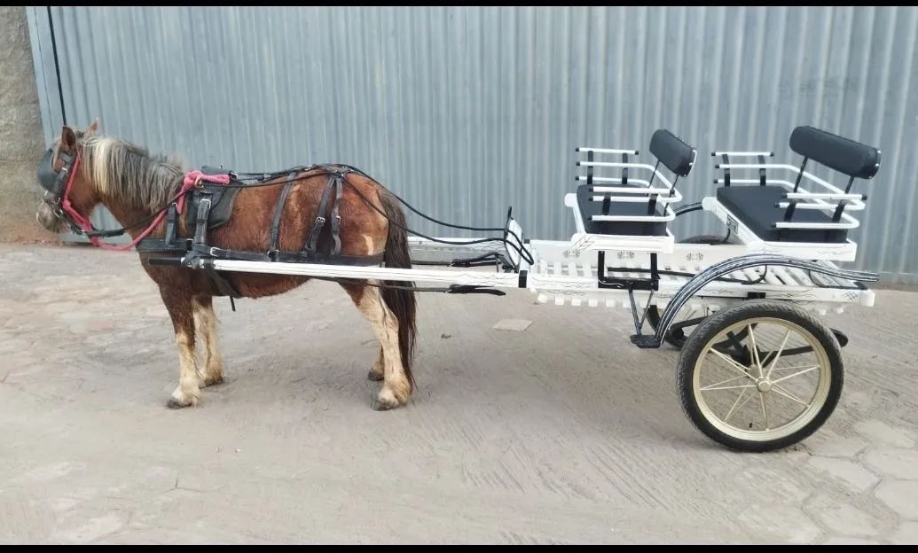 Linda pônei com charrete completa 10 mil 