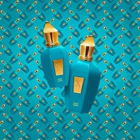 Perfume Xerjoff Erba Pura 100ml  - Foto 4